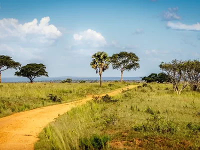 Climatic conditions in Rwenzori